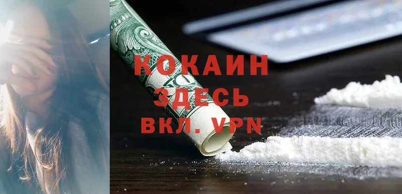 COCAIN Fish Scale Верхняя Тура